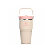 FLIP STRAW TUMBLER CHAMPAGNE 591 ML